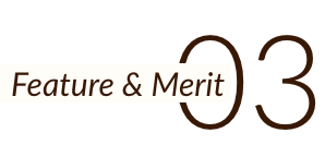 Feature & Merit03